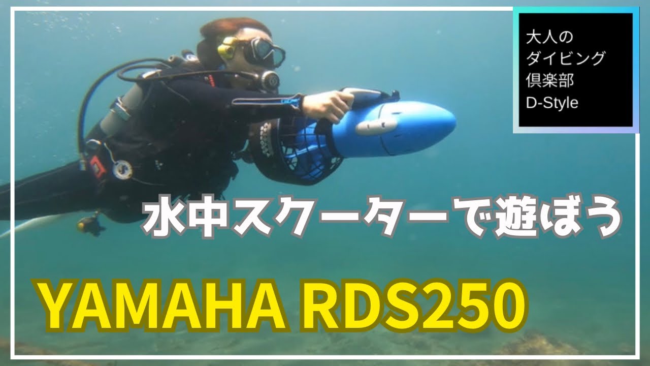 YAMAHAシースクーター RDSシリーズ 取り扱いポイント