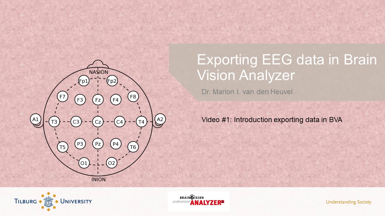 [NEUROSCIENCE INTRO] Exporting EEG data in Brain Vision Analyzer - Part ...