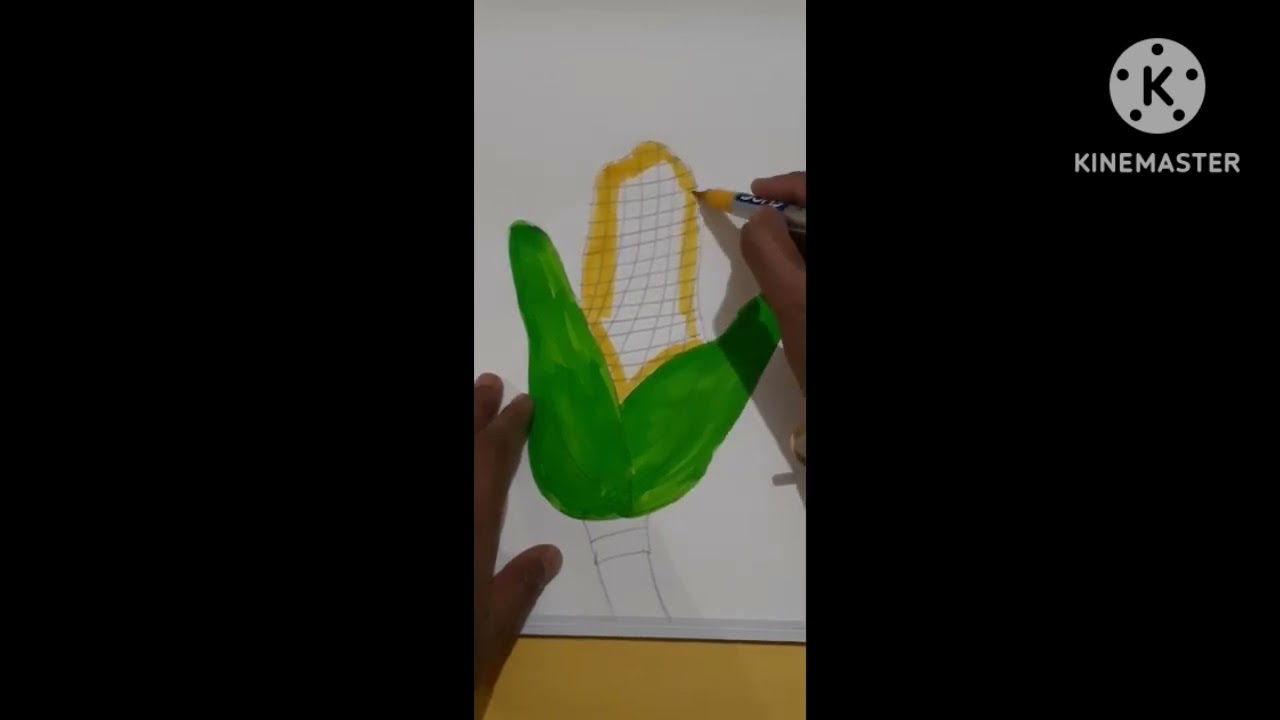 Corn drawing using palm