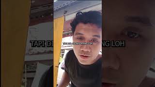 Lepas Merpati 177 Km Pulang Cuma 3 Jam  merpatiposracing burung pecintamerpati merpati fyp