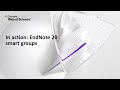 In action endnote 20 windows smart groups