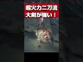 二刀流(睡眠×龍)の超火力大剣が強すぎる!【モンハンワイルズ】【MHWilds】【mhws】