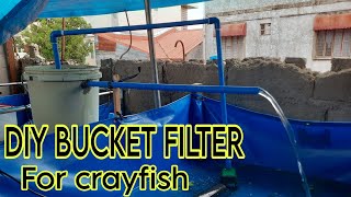 diy bucket filter para sa crayfish trapal pond | crayfish farming | tagalog