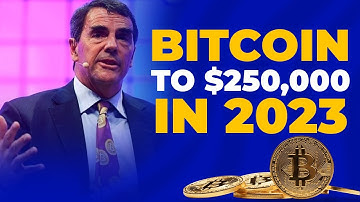 2023 Bitcoin Price Prediction - Tim Draper