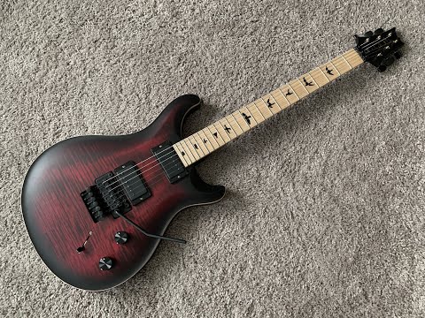 prs dustie waring custom 24