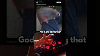 The Perfect Specimen || meme