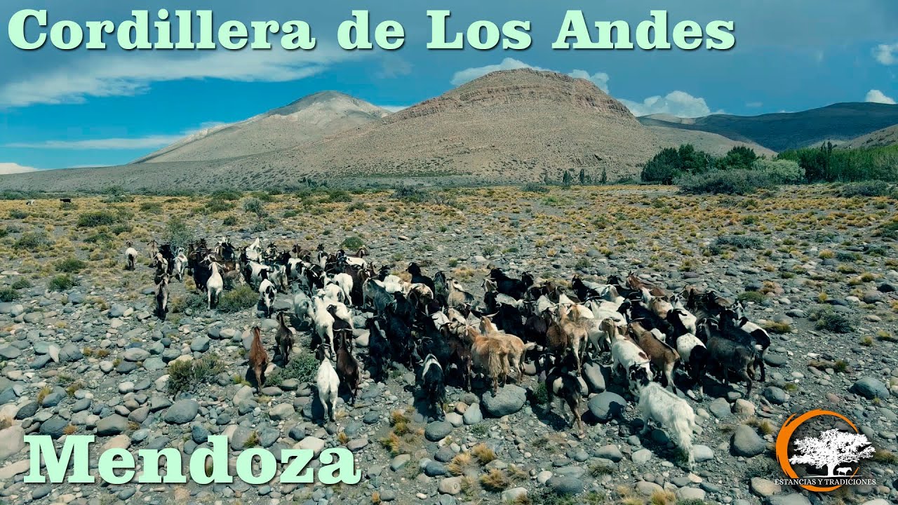 153 Puesto Los Arroyos - Estancias y Tradiciones