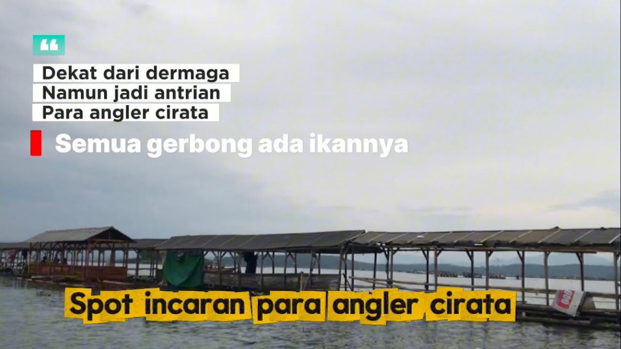 🔴SPOT INCARAN ANGLER CIRATA SAAT INI ‼️BANYAK SAMBARAN