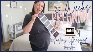 25 WEEK PREGNANCY UPDATE | Anatomy ultrasound results | Bump update | VLOGMAS day 4