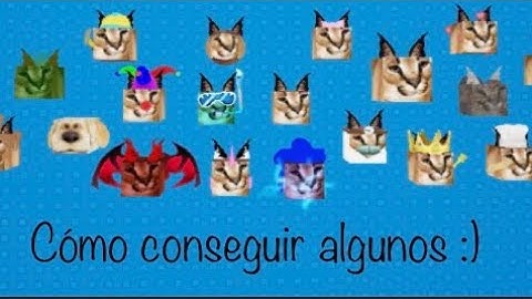 Cómo conseguir algunos floppas en Find the Floppas