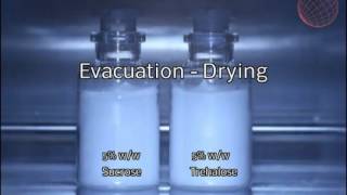 Efficient high fill lyophilization   YouTube