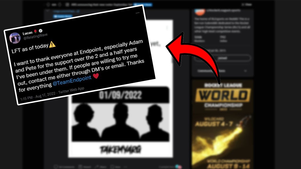 Metasnauris and Relatingwave LEAVE Team Endpoint