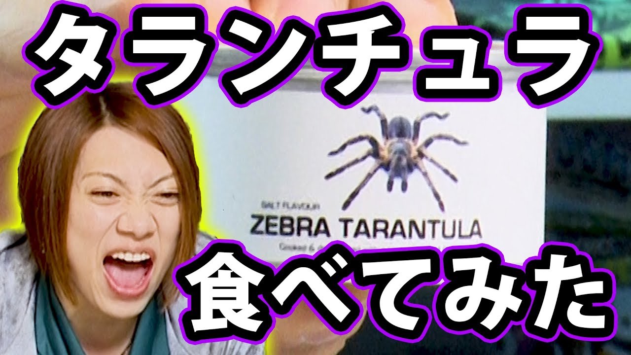 The hair is amazing] Are poisonous spiders tasty? I tried eating a