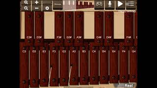 Beginner learns to play Marimba on an app