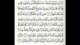 سورة التحريم القارئ صلاح باعثمان