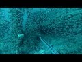 Diving an Unknown Wreck in the Gulf of Mexico