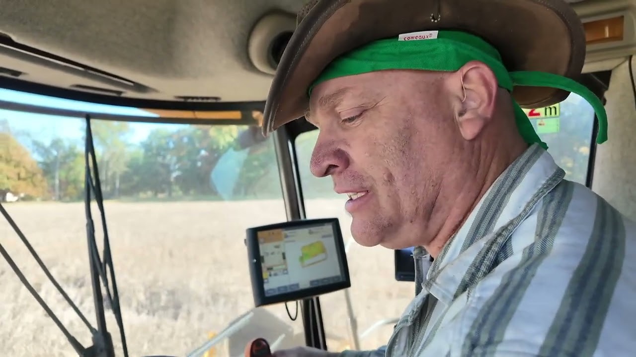 Соевые бобы и соевая солома