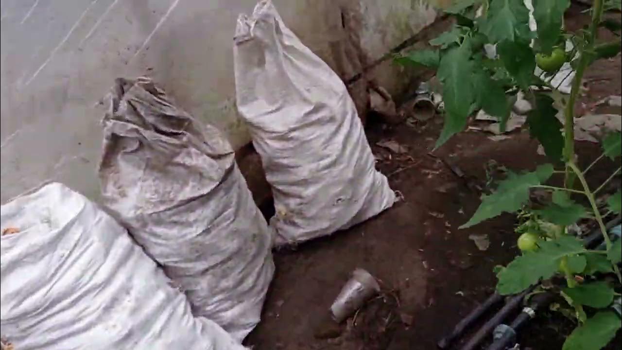 Теплица на 2 ноября - YouTube