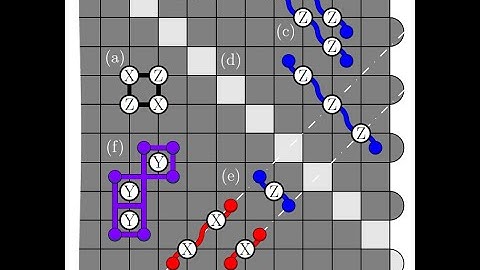 An Introduction to The XZZX Surface Code