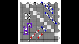 Celebrity An Introduction to The XZZX Surface Code Profile