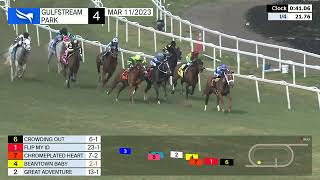 Vidéo de la course PMU CLAIMING