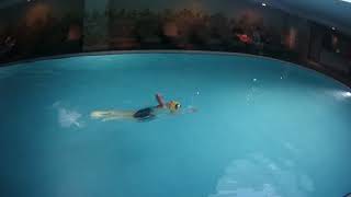 Swimming in hotel pool