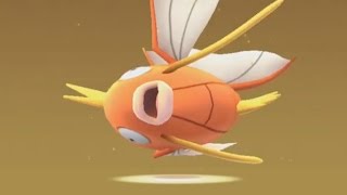 2 X 2Km Eggs Hatching Magikarp Is Dat You?