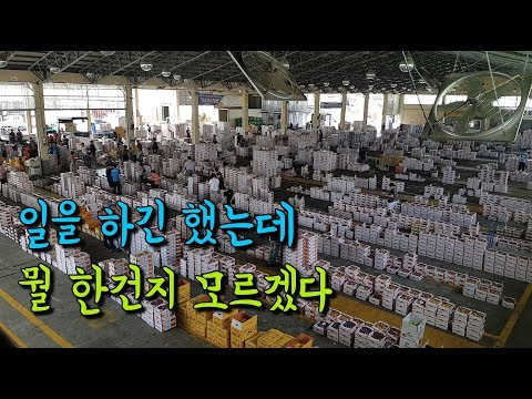 <strong>콜바리의</strong> 경주 탈출기 - 허무한 하루  [#210 트럭커의 일상 다큐 VLOG]
