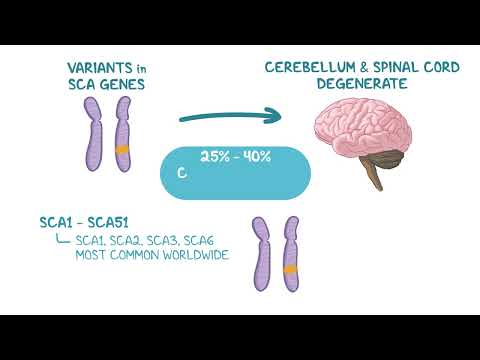 Spinocerebellar Ataxia: Symptoms, Types & Genetic Inheritance thumbnail