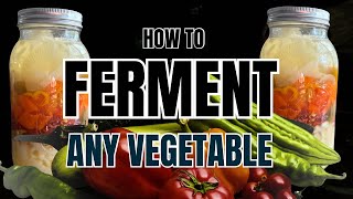 How to Ferment Any Vegetable, Easy Lacto Fermentation Guide for Beginners, Preserving With Salt, 