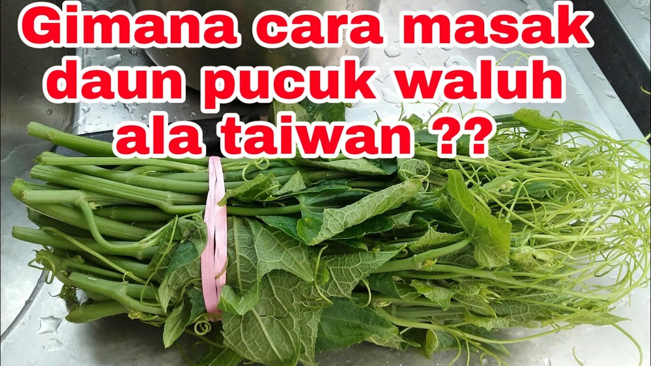 Cara masak daun pucuk waluh ala taiwan 