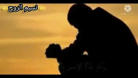 تلاوة تهتز لها القلوب 💗(سورة الفجر)حالات واتس أب