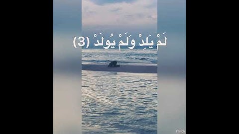 سورة الإخلاص بصوت الشيخ علي جابر(رحمه الله).