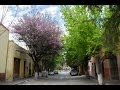 Recorriendo Armadillo de los Infante