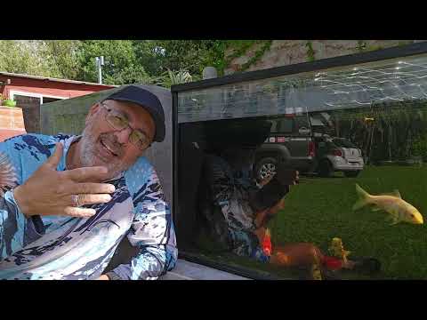 10 CONSEJOS para