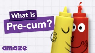 What is Pre-cum? #AskAMAZE