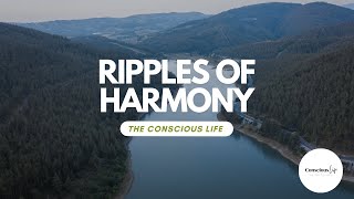 Ripples of Harmony: A Melodic Tapestry for Peaceful Reflection 🍃🎵