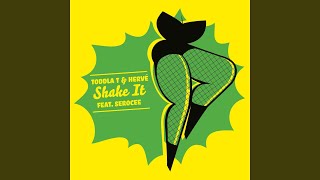 Shake It (The Count &amp; Sinden Remix)