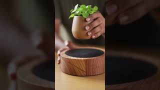 Smart Floating Decor ✨ #techreels #techreels #techwalasanjay #hometech #innovation #gadgets