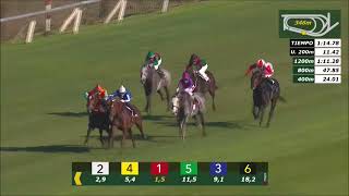 Vidéo de la course PMU PREMIO REPUBLICA ARGENTINA