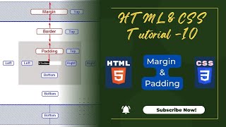 CSS Tutorial: CSS Box Model, Margin and Padding | Web Development Tutorials #10