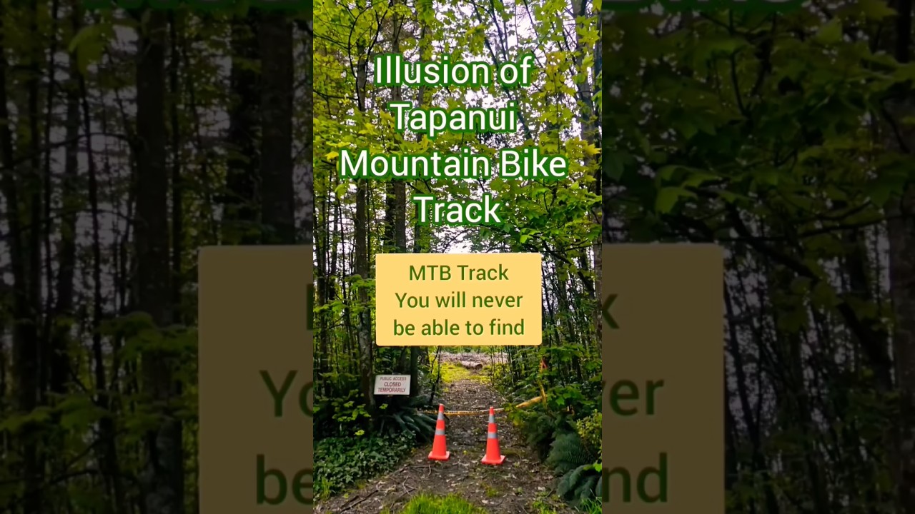 【Illusion of Tapanui MTB Track】