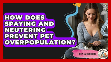How Does Spaying And Neutering Prevent Pet Overpopulation? - Happy Cat Handbook