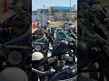 Many colors of choppers #shorts #harleydavidson #ハーレー