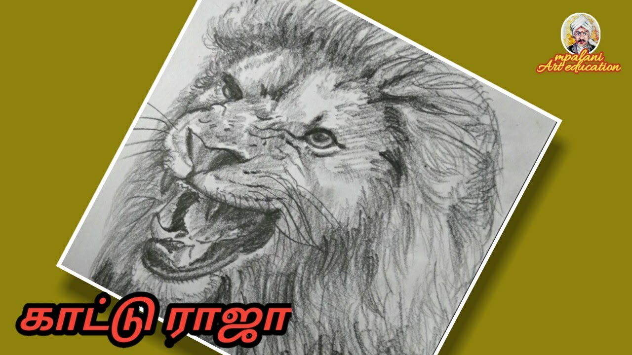 How to draw a lion | face | lion drawing | beginners | step by step