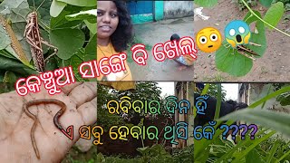 ଏଇଟି ଆମ ଅଗଣା/Barsha Dina Baari Ke Safa Rakhba Katha/love you nature/ kunmun78