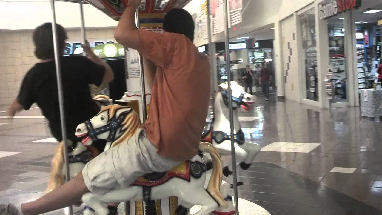 Animal cruelty YouTube