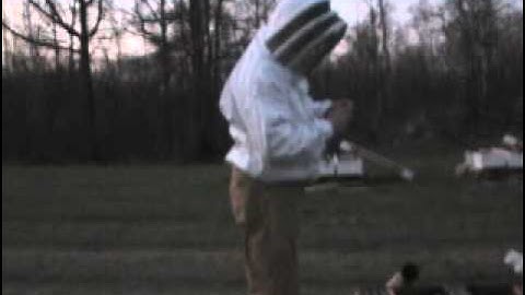 Hiving Arataki Tube Pkgs # 1