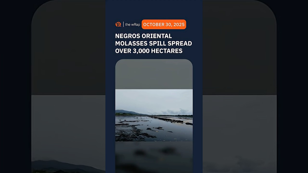 Negros Oriental molasses spill spreads across 3,000 hectares