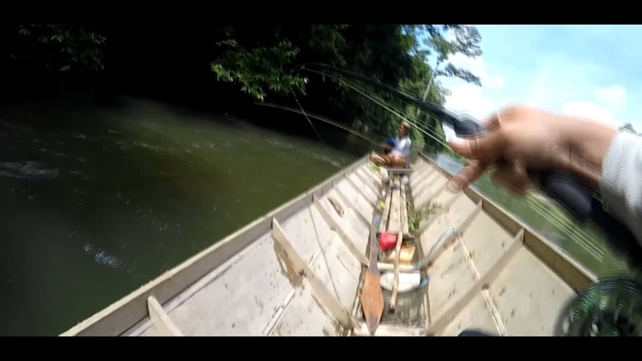 Let's Go Hunt!!! #02 Fly Fishing Techique Edition Beliho & Mahseer, East Borneo INDONESIA